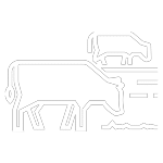 Kentucky Livestock Legal Assistance, Joe Bilby, Farm & Agriculture Law Icon of livestock grazing